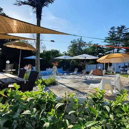 Family Belgrad アパート *